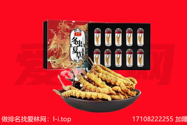 惠州回收虫草.jpg